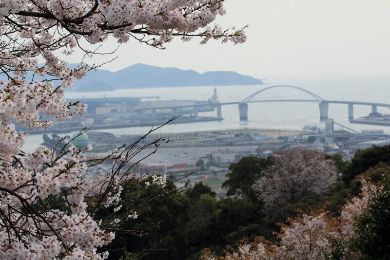 永源山の桜