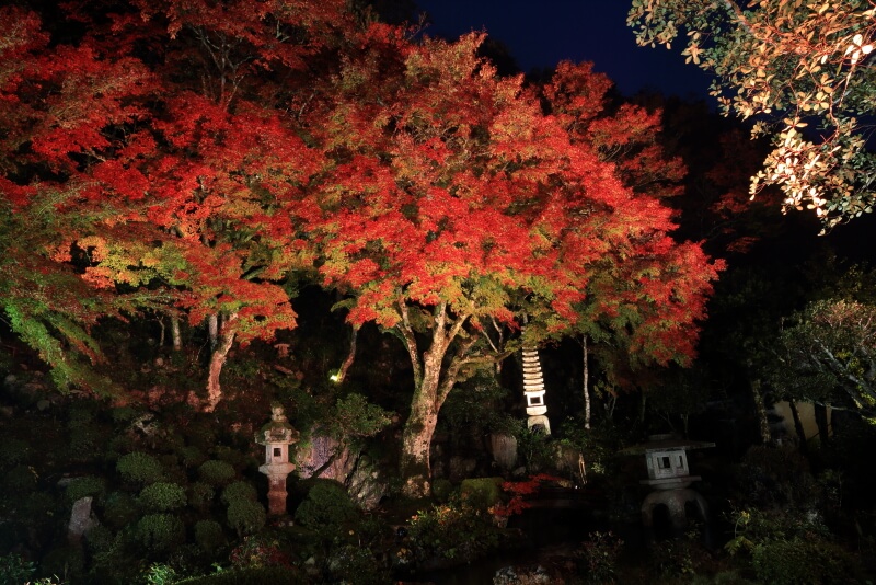 津和野・堀庭園の紅葉