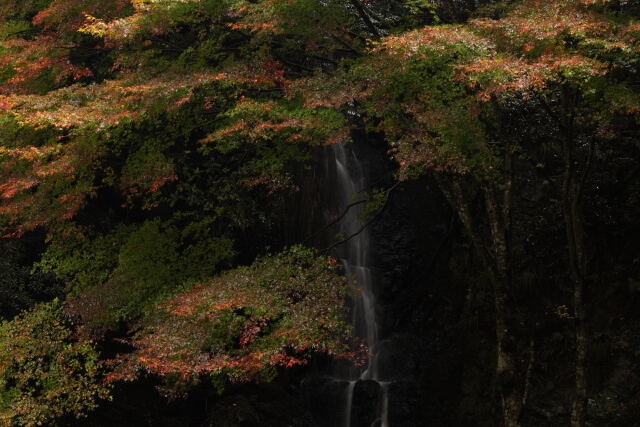 天神の滝 | 山口県山口市徳地