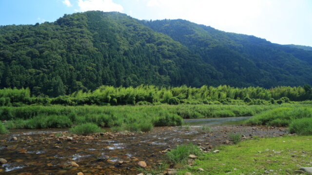ある夏の日 | 島根県吉賀町日本一の清流高津川
