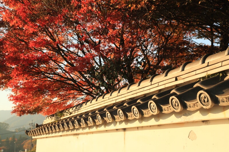 紅葉の季節 | 山口県周南市鹿野漢陽寺